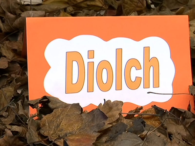 Llun "Diolch"