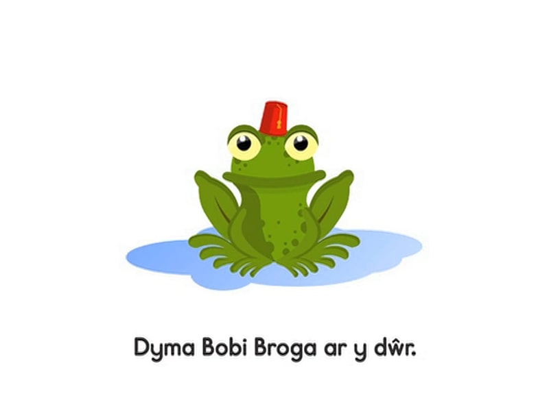 Llun "Broga"