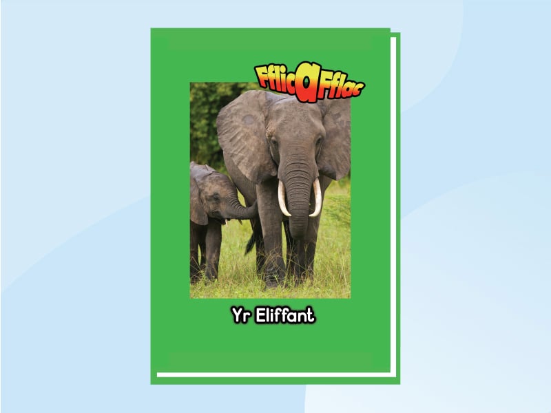 Llun am Yr Eliffant