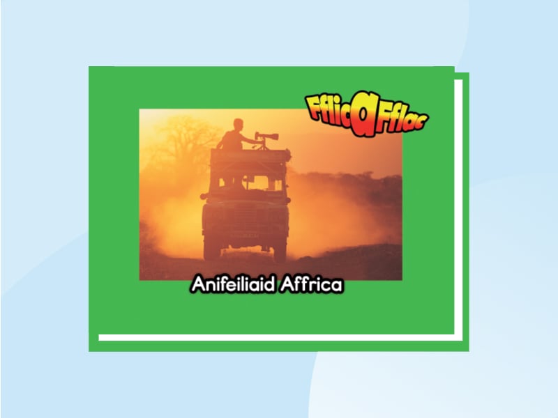 Llun am Anifeiliaid Affrica